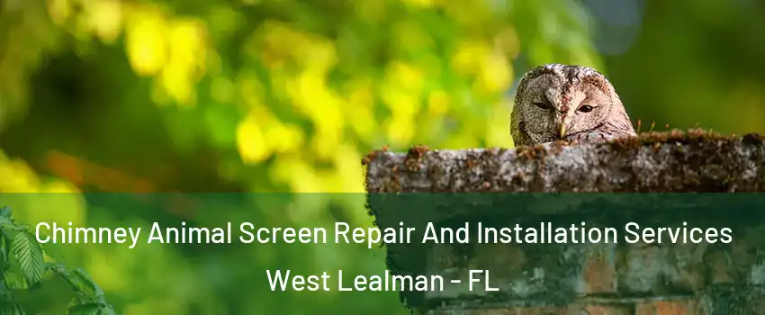  Chimney Animal Screen Repair And Installation Services West Lealman - FL