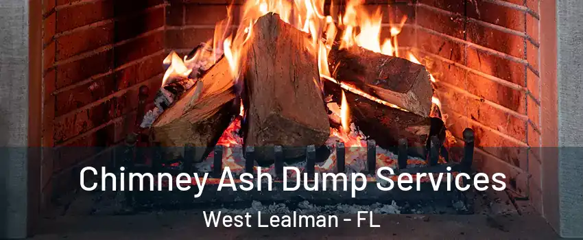  Chimney Ash Dump Services West Lealman - FL