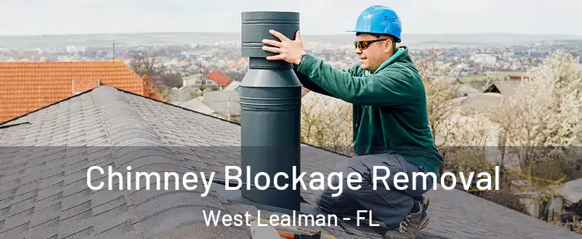  Chimney Blockage Removal West Lealman - FL