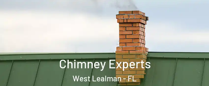  Chimney Experts West Lealman - FL