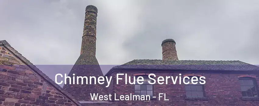  Chimney Flue Services West Lealman - FL