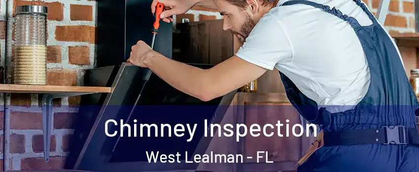  Chimney Inspection West Lealman - FL