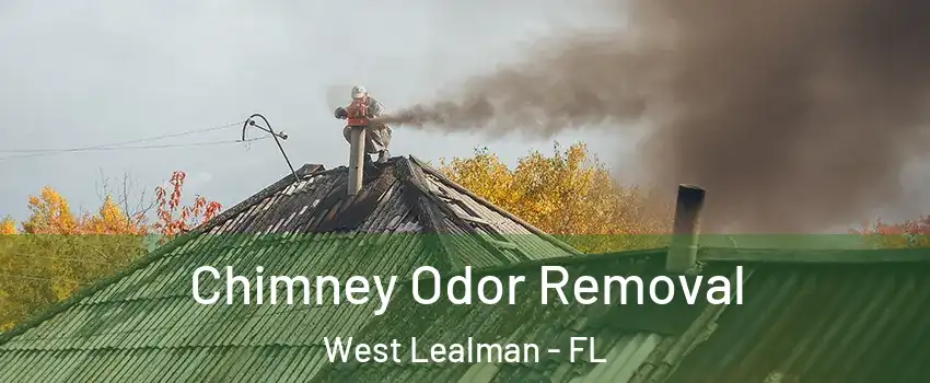  Chimney Odor Removal West Lealman - FL