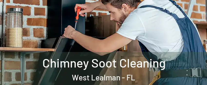  Chimney Soot Cleaning West Lealman - FL