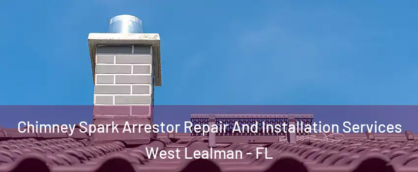  Chimney Spark Arrestor Repair And Installation Services West Lealman - FL