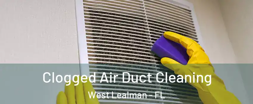  Clogged Air Duct Cleaning West Lealman - FL