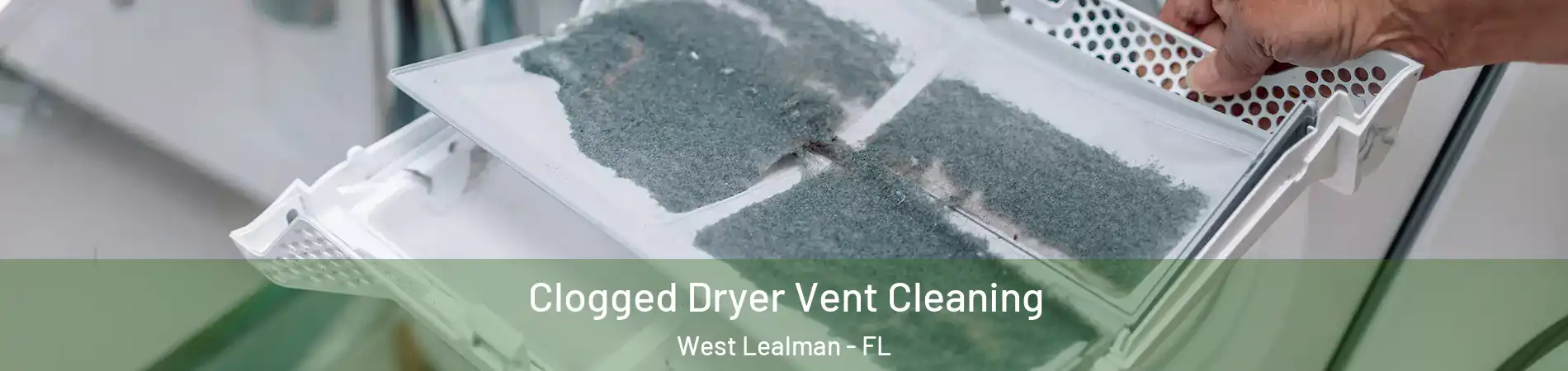  Clogged Dryer Vent Cleaning West Lealman - FL
