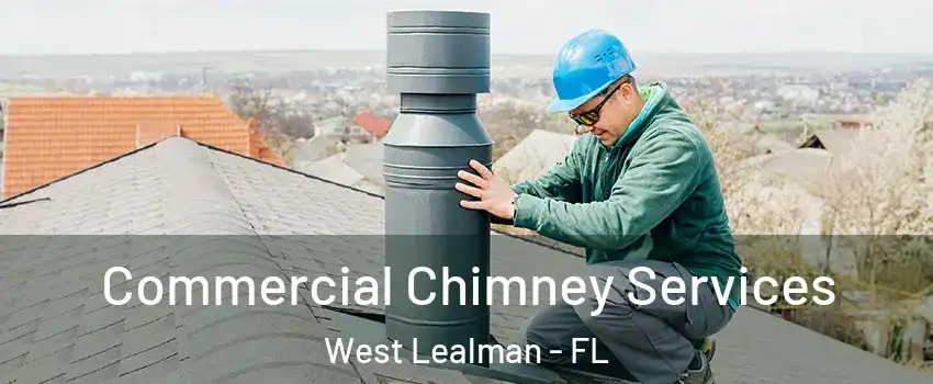  Commercial Chimney Services West Lealman - FL