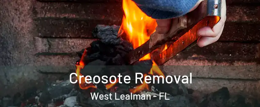 Creosote Removal West Lealman - FL
