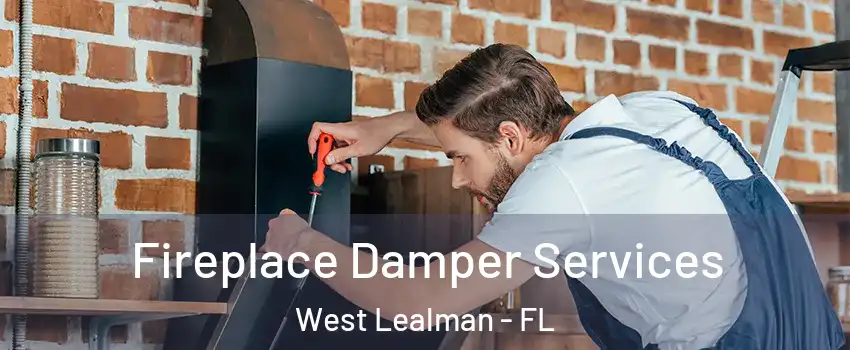  Fireplace Damper Services West Lealman - FL