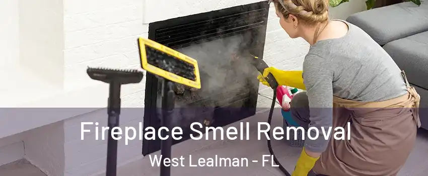  Fireplace Smell Removal West Lealman - FL