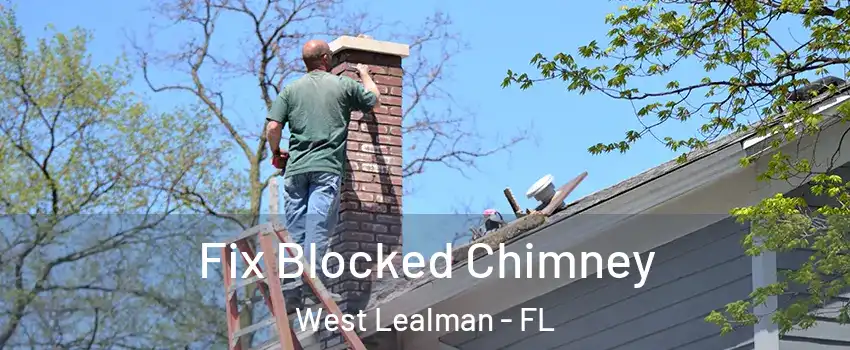  Fix Blocked Chimney West Lealman - FL