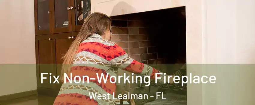  Fix Non-Working Fireplace West Lealman - FL