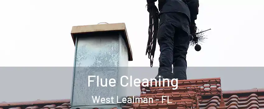  Flue Cleaning West Lealman - FL