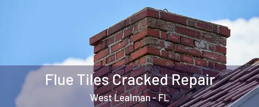  Flue Tiles Cracked Repair West Lealman - FL