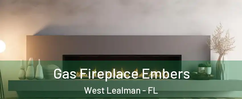  Gas Fireplace Embers West Lealman - FL
