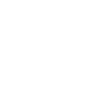 Professional Chimney Flue Installation in West Lealman, Florida