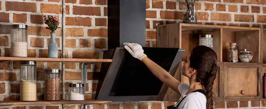 Chimney Installation in West Lealman, FL