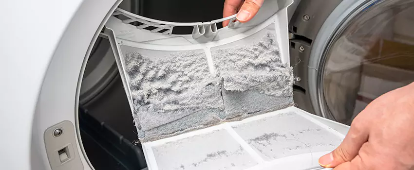 Best Dryer Lint Removal Company in West Lealman, Florida