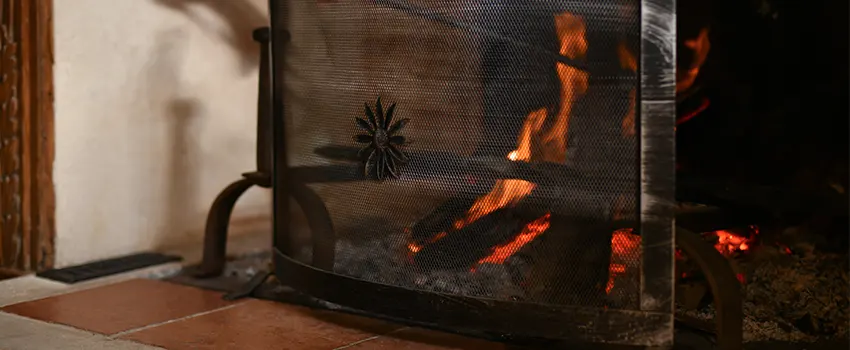 Electric Metal Fireplace installation Services in West Lealman, FL
