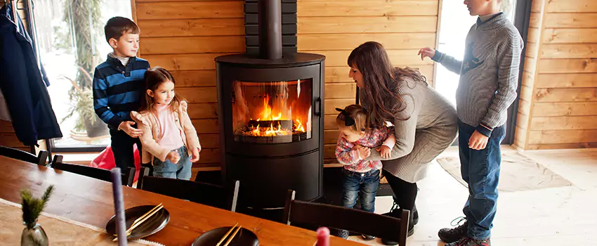 Jøtul Gas Fireplace Inspection Service in West Lealman, Florida