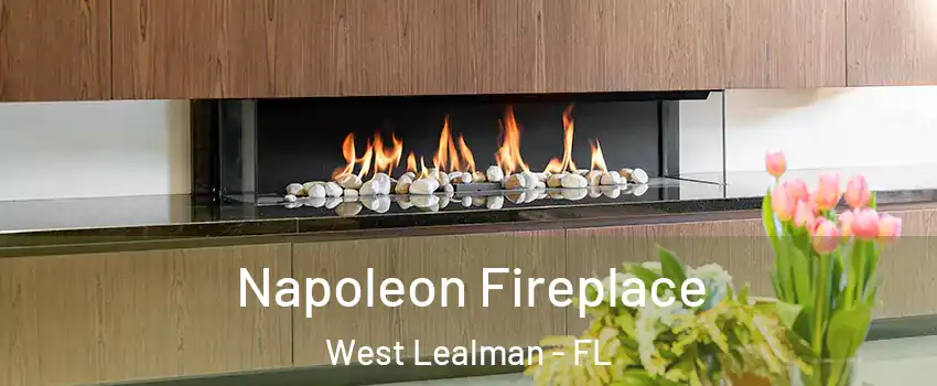  Napoleon Fireplace West Lealman - FL