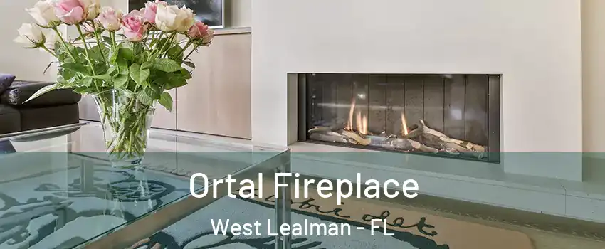  Ortal Fireplace West Lealman - FL