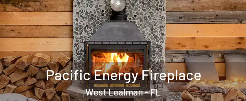  Pacific Energy Fireplace West Lealman - FL