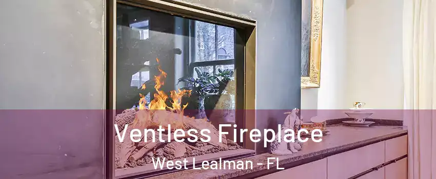  Ventless Fireplace West Lealman - FL